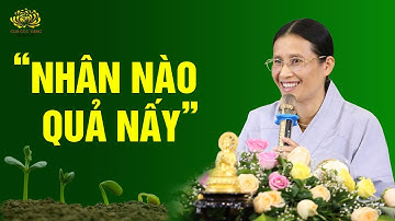 Kiếp trước nợ gì, kiếp này trả đó  – Hiểu luật nhân quả để bớt khổ đau