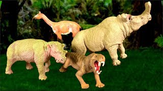 NEW Learn Prehistoric Mammals | Wild animals Prehistoric Animals | Toy Collection Educational video NEW Learn Prehistoric Mammals | Wild animals Prehistoric Animals | Toy Collection Educational video