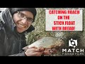 Fishing Nostalgia! Catching LOADS of ROACH from a TINY Stream with minimal tackle!