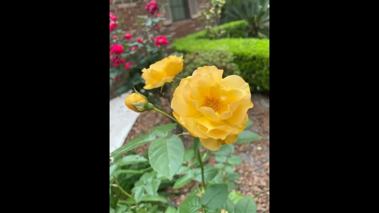 Vocal Concert April 4th, 2023 Part One