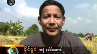 DVB - 29.11.2010 - Burma News 3