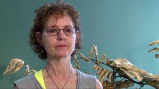 Celebrity Christy Rupp from 'Dead or Alive' Net Worth