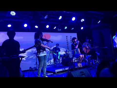 房東的貓 - 房東的貓 (live)