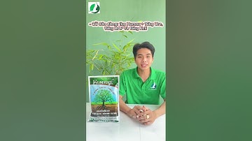 HUMMAX kích rễ và cải tạo đất