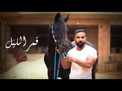مغامرة فى نزلة السمان عندما تعشق الخيل فارس