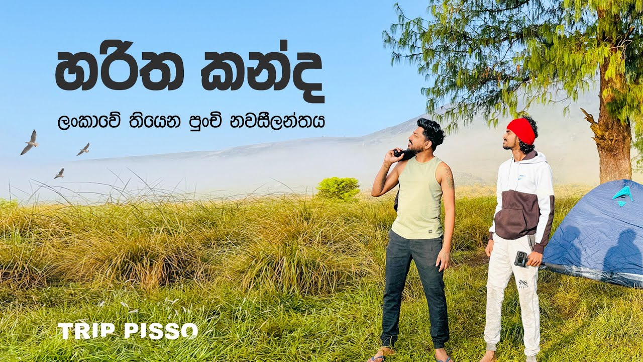 අපේ රටේ තියෙන පුංචි නවසීලන්තය⛰️ Haritha Kanda camping 🇱🇰 | TRIP PISSO