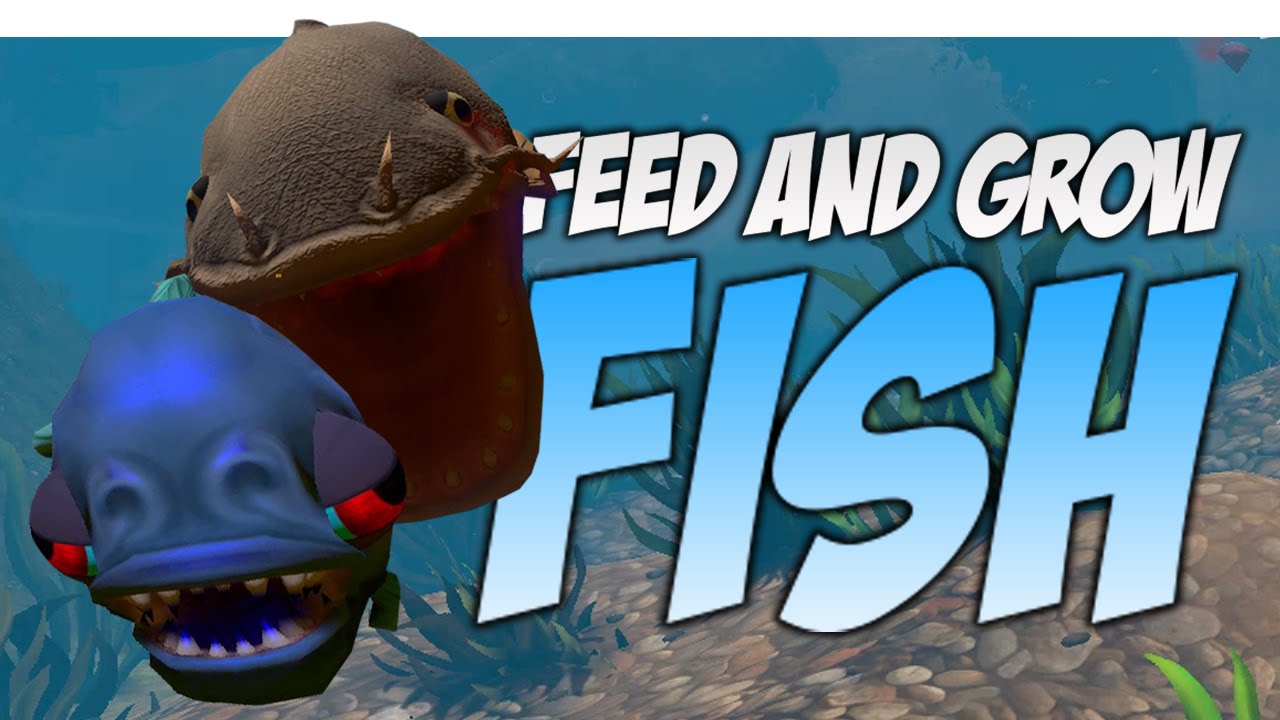 GIANT PIRANHA | Feed and Grow Gameplay (Feed and Grow Fish Funny Moments, River Update)