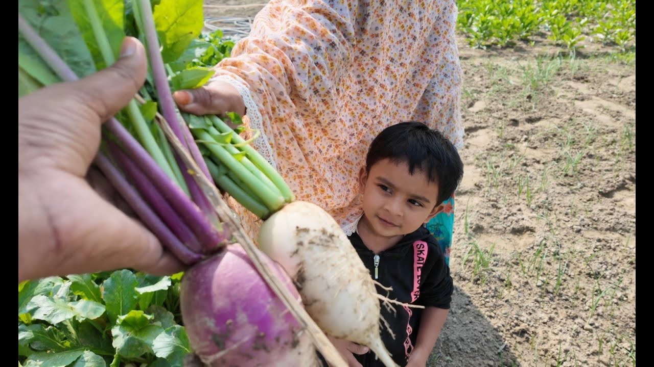 সবজি বিক্রির টাকায় সবজি উঠানোর কামলা খরচও উঠে না | Doyel Agro