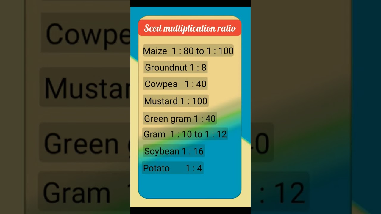 Seed multiplication ratio of crops | imp mvq seed technology