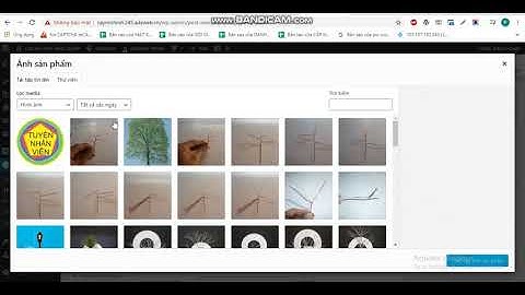 Hướng dẫn chỉnh sửa sản phẩm trên Wordpress