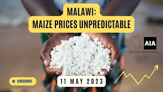 Malawian Maize remains unpredictable | 11 May 2023 screenshot 2
