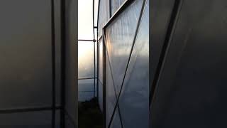 20190614_171733.mp4 20190614_171733.mp4