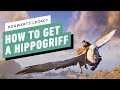 Hogwarts Legacy: How to Get a Hippogriff