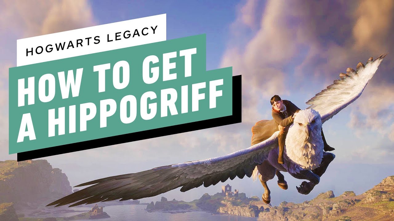 Hogwarts Legacy: How to Get a Hippogriff - YouTube