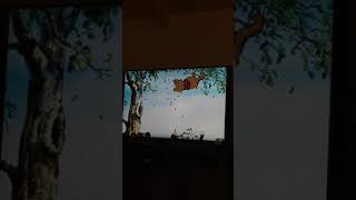 The many adventures of Winnie the Pooh. Bees 🐝 chase Pooh