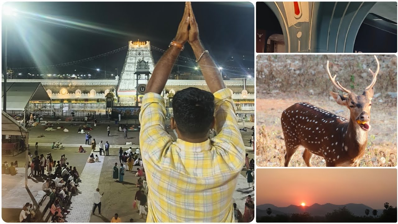 Alipiri Steps to Tirumala – My Spiritual Trek to Balaji 