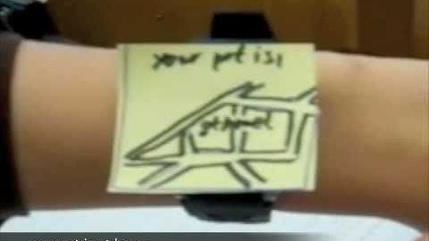 Video Prototype PetWatcher, Hasso Plattner Institut, Winter 2008