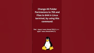 Set All Folder Permissions to 755 and Files to 644 #linux #ubuntu #command #commandline #terminal