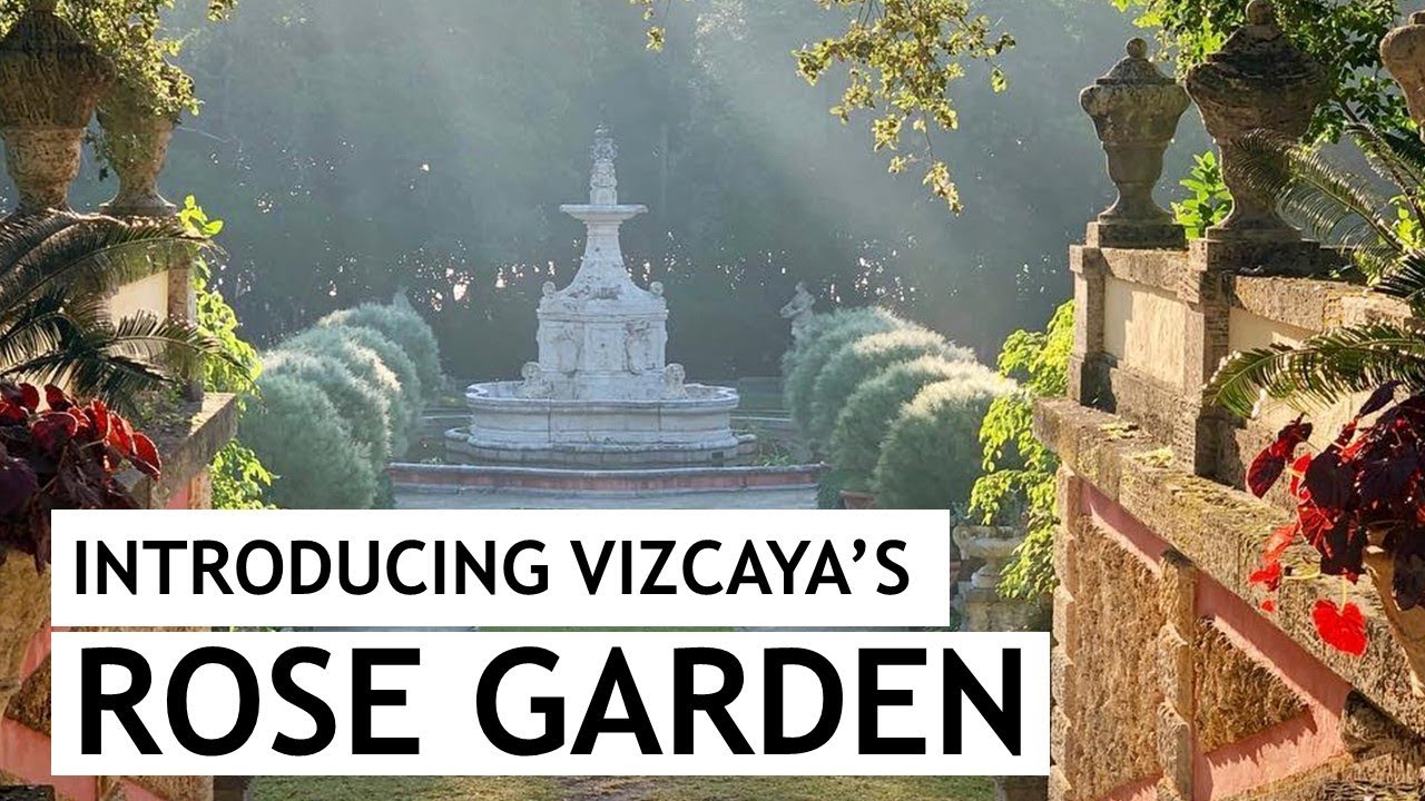 Bringing Roses Back to the Fountain Garden YouTube