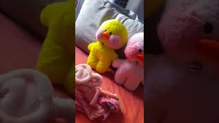 Download Lagu mis patos lalafanfan#lalafanfan #duck MP3