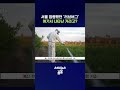 요즘 다시 부화하고 있다는 '러브버그' 발생지 알아봄 #러브버그 #shorts #스브스뉴스