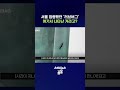 요즘 다시 부화하고 있다는 '러브버그' 발생지 알아봄 #러브버그 #shorts #스브스뉴스