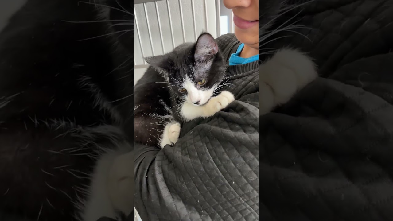 Они точно знают, где проходит граница 😶 