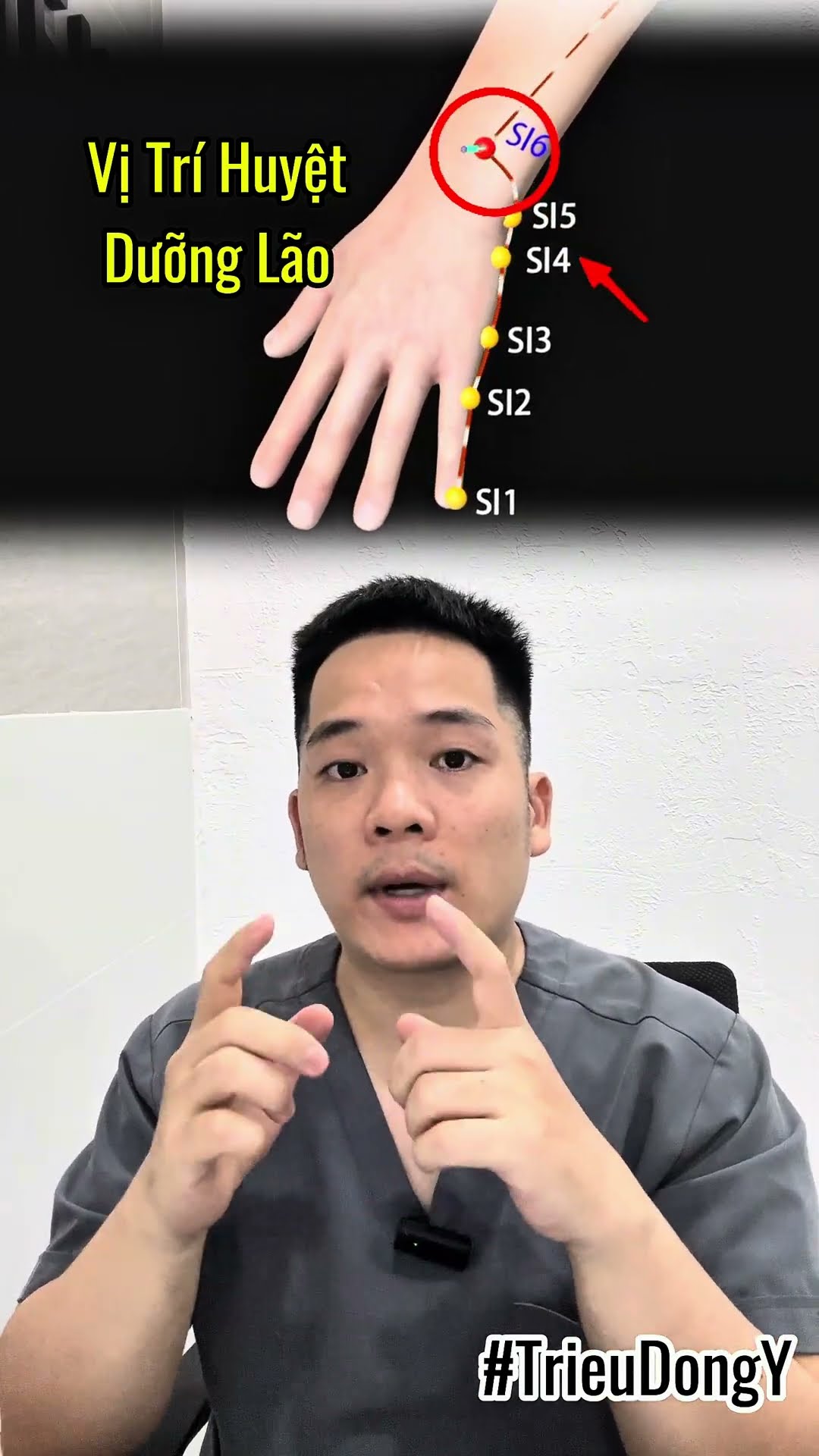 🆘Dưỡng Lão – Huyệt Vàng Trị Mỏi Mắt, Mờ Mắt, Đau Mỏi Tê Cổ Vai Gáy 🇻🇳