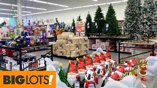 BIG LOTS CHRISTMAS DECORATIONS CHRISTMAS TREES ORNAMENTS SHOP WITH ME SHOPPING STORE WALK THROUGH