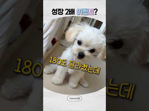 [에스파] 윈터도 매일매일 놀라겠다 thumbnail
