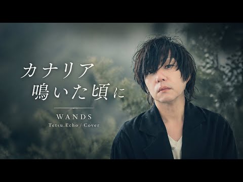 【WANDS】カナリア鳴いた頃に　vocal&music cover(ショートバージョン) *一部歌詞間違い有り