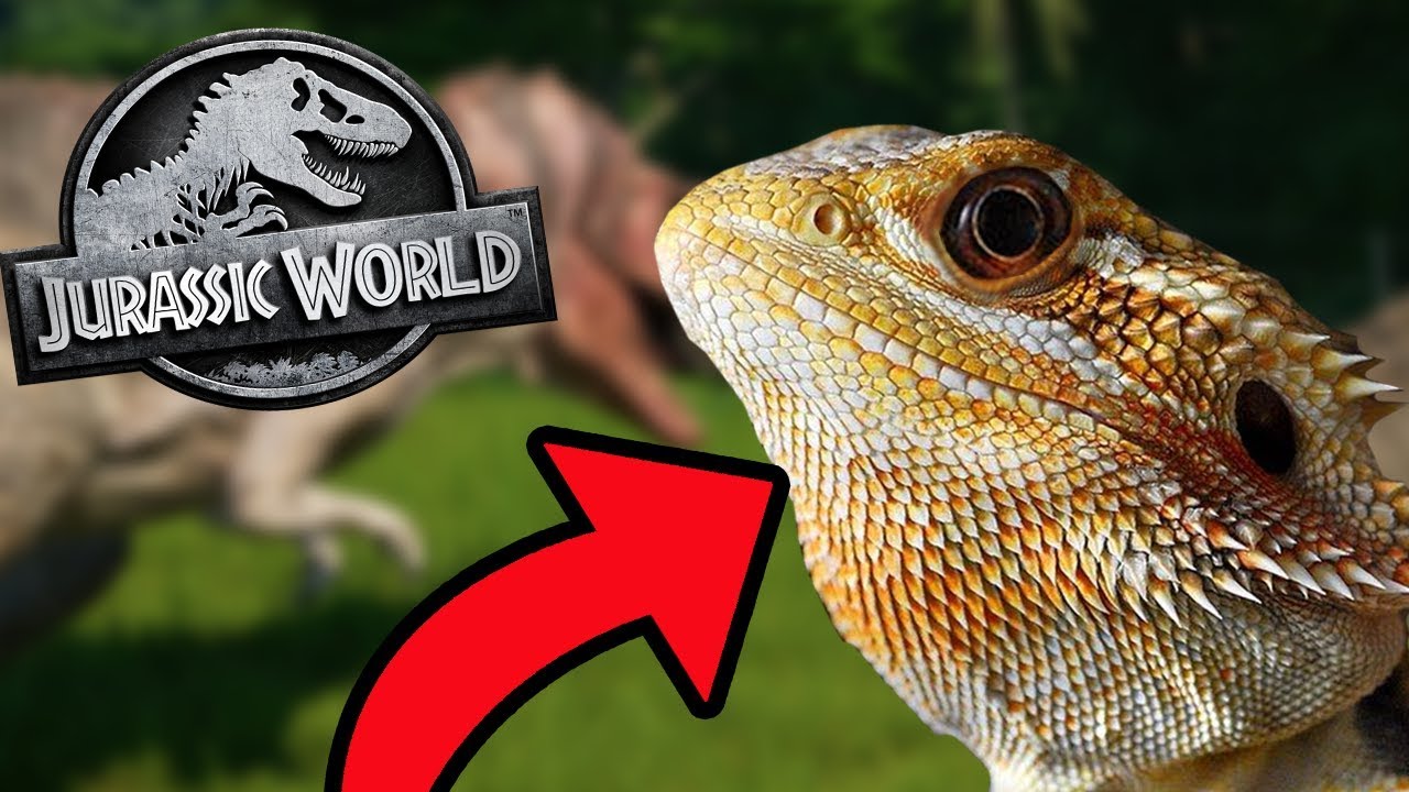 PLAYING WITH MY BEARDED DRAGON Jurassic World Evolution (Part 1) Supercut, Gameplay YouTube