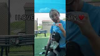 Donate or volunteer at your local animal shelter. They need help! #adoptdontshop #dogshelter