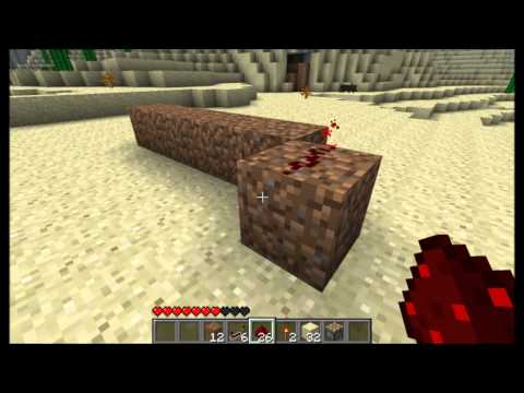 Minecraft completely hidden door button