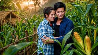 Thu And Tu Phan Happily Harvested Lychees Together A Simple Moment Filled With Love