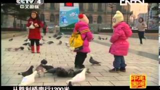 走遍中国 《走遍中国》 20130607 《一方收藏》 第47集 大连密档