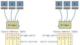 Transparent Bridging - 6 : Bridge source address table