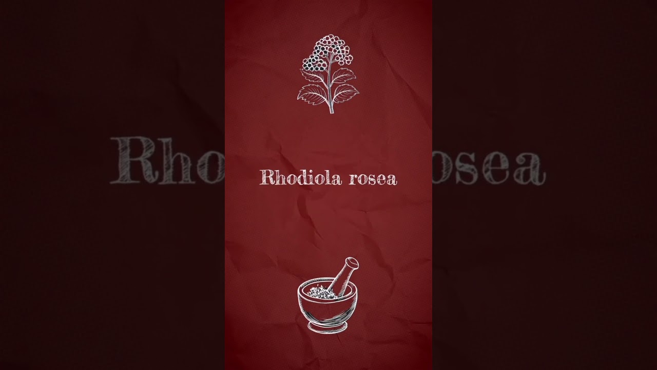 Rhodiola rosea: A Safe and Effective Herb for Stress and Burnout #stress #health #diet