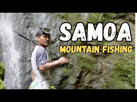 Mountain Fishing in Samoa | Catching Freshwater Shrimps with Tau