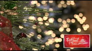 St. Francis Festival of Trees (2012)