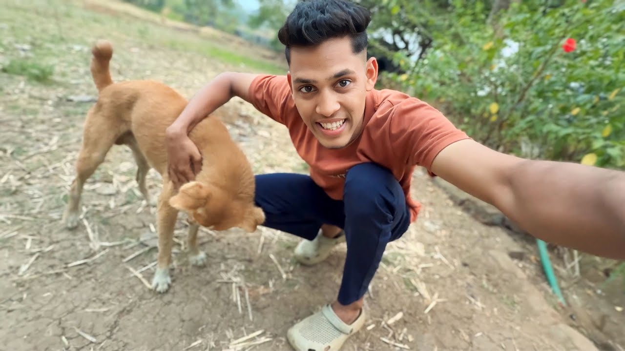 Kal Raat Se Gayab Tha Mera Dog… Aaj shaam ko Mil Gaya 😭🐶