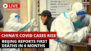 Beijing News Live : China's COVID Cases Surge, First Death Reported in 6 Months | Corona News