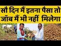 आलू की खेती कब और कैसे करें🤔🤔Potato Farming Profit | आलू खेती का खर्चा, मुनाफा, खाद, बीज और रोग