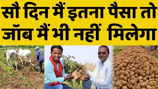 When and how to cultivate potatoes🤔🤔Potato Farming Profit | Potato farming cost, profit, fertiliz... screenshot 5