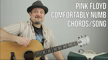 Pink Floyd - Comfortably Numb - Chords, Song Tutorial - How to Play On Guitar