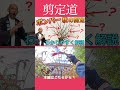 ㊗️3万回視聴 剪定2年目 ボンバー枝をどうする？！ #剪定方法 #庭木の手入れ #庭木の管理 #強剪定 #庭木の剪定