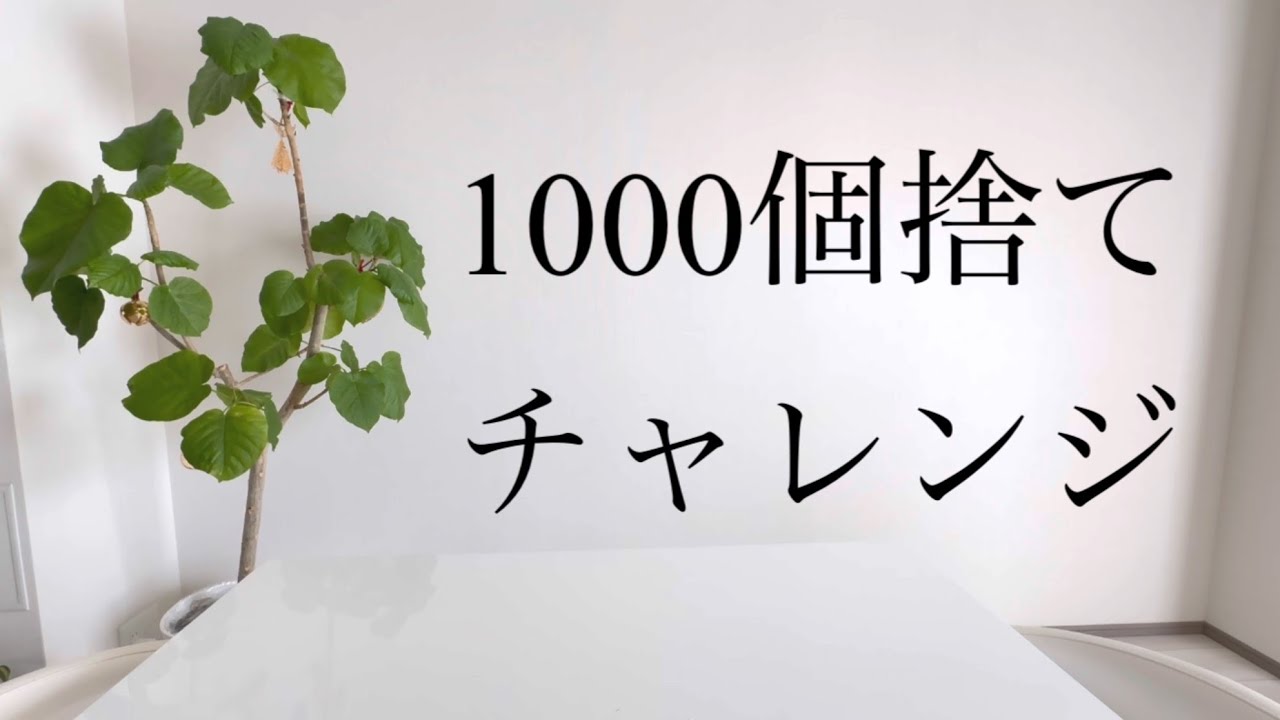 捨て活】1000個捨てチャレンジ達成！100個捨てからの挑戦 ミニマリスト