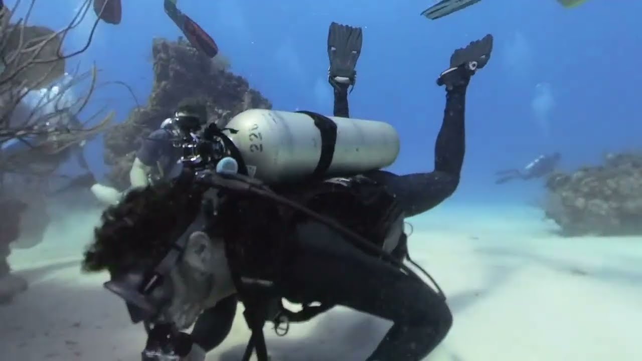 DD6 Grand Cayman Smiths Cove 1