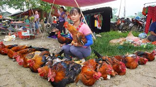 120 Day Harvesting Chicken (Rooster) Goes to market sell  Harvest Fruit Garden [FULL VIDEO]