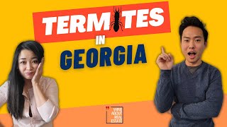 Termites in Georgia